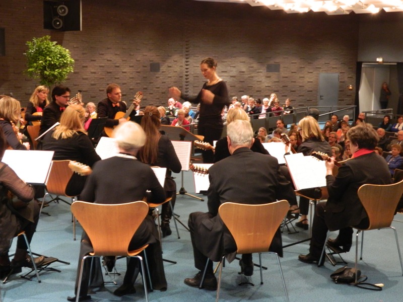 Konzert 17. Novenmber 2013 FZH Ricklingen
